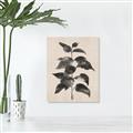 Picture of Black Linen Leaves II _GroupedProduct_Rectangle_Portrait_Canvas_
