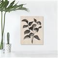 Picture of Black Linen Leaves IV _GroupedProduct_Rectangle_Portrait_Canvas_