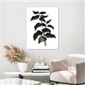 Picture of Black Leaves II _GroupedProduct_Rectangle_Portrait_Canvas_