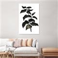 Picture of Black Leaves II _GroupedProduct_Rectangle_Portrait_Canvas_