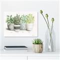 Picture of Pots With Flower _GroupedProduct_Rectangle_Landscape_Canvas_