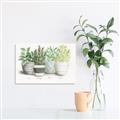 Picture of Pots With Flower _GroupedProduct_Rectangle_Landscape_Canvas_