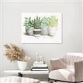 Picture of Pots With Flower _GroupedProduct_Rectangle_Landscape_Canvas_