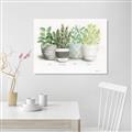 Picture of Pots With Flower _GroupedProduct_Rectangle_Landscape_Canvas_