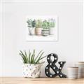 Picture of Pots With Flower I _GroupedProduct_Rectangle_Landscape_Canvas_