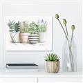 Picture of Pots With Flower I _GroupedProduct_Rectangle_Landscape_Canvas_