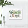 Picture of Pots With Flower I _GroupedProduct_Rectangle_Landscape_Canvas_