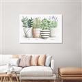 Picture of Pots With Flower I _GroupedProduct_Rectangle_Landscape_Canvas_