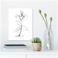 Picture of Single Flower VIII _GroupedProduct_Rectangle_Portrait_Canvas_