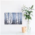 Picture of Plain White Birches _GroupedProduct_Rectangle_Landscape_Canvas_