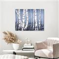Picture of Plain White Birches _GroupedProduct_Rectangle_Landscape_Canvas_