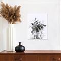 Picture of Black Daisy I _GroupedProduct_Rectangle_Portrait_Canvas_