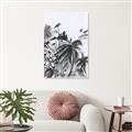 Picture of Black Daisy II _GroupedProduct_Rectangle_Portrait_Canvas_