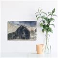 Picture of Farmhouse I _GroupedProduct_Rectangle_Landscape_Canvas_