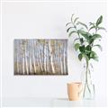 Picture of Birch Tree (yellow leaf) _GroupedProduct_Rectangle_Landscape_Canvas_