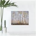 Picture of Birch Tree (yellow leaf) _GroupedProduct_Rectangle_Landscape_Canvas_