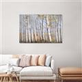 Picture of Birch Tree (yellow leaf) _GroupedProduct_Rectangle_Landscape_Canvas_
