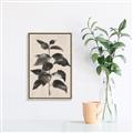 Picture of Black Linen Leaves II _GroupedProduct_Rectangle_Portrait_Canvas_Framed_