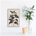 Picture of Black Linen Leaves II _GroupedProduct_Rectangle_Portrait_Canvas_Framed_