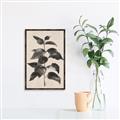 Picture of Black Linen Leaves II _GroupedProduct_Rectangle_Portrait_Canvas_Framed_