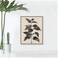 Picture of Black Linen Leaves II _GroupedProduct_Rectangle_Portrait_Canvas_Framed_