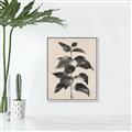 Picture of Black Linen Leaves II _GroupedProduct_Rectangle_Portrait_Canvas_Framed_