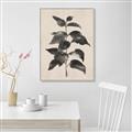 Picture of Black Linen Leaves II _GroupedProduct_Rectangle_Portrait_Canvas_Framed_