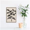 Picture of Black Linen Leaves IV _GroupedProduct_Rectangle_Portrait_Canvas_Framed_