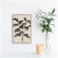 Picture of Black Linen Leaves IV _GroupedProduct_Rectangle_Portrait_Canvas_Framed_