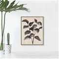Picture of Black Linen Leaves IV _GroupedProduct_Rectangle_Portrait_Canvas_Framed_