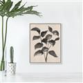 Picture of Black Linen Leaves IV _GroupedProduct_Rectangle_Portrait_Canvas_Framed_