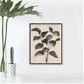 Picture of Black Linen Leaves IV _GroupedProduct_Rectangle_Portrait_Canvas_Framed_