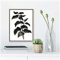 Picture of Black Leaves II _GroupedProduct_Rectangle_Portrait_Canvas_Framed_