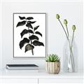 Picture of Black Leaves II _GroupedProduct_Rectangle_Portrait_Canvas_Framed_