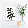 Picture of Black Leaves II _GroupedProduct_Rectangle_Portrait_Canvas_Framed_