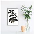 Picture of Black Leaves II _GroupedProduct_Rectangle_Portrait_Canvas_Framed_