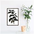 Picture of Black Leaves II _GroupedProduct_Rectangle_Portrait_Canvas_Framed_