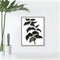 Picture of Black Leaves II _GroupedProduct_Rectangle_Portrait_Canvas_Framed_