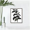 Picture of Black Leaves II _GroupedProduct_Rectangle_Portrait_Canvas_Framed_