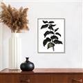 Picture of Black Leaves II _GroupedProduct_Rectangle_Portrait_Canvas_Framed_