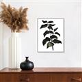 Picture of Black Leaves II _GroupedProduct_Rectangle_Portrait_Canvas_Framed_