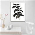 Picture of Black Leaves II _GroupedProduct_Rectangle_Portrait_Canvas_Framed_