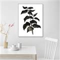 Picture of Black Leaves II _GroupedProduct_Rectangle_Portrait_Canvas_Framed_