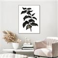 Picture of Black Leaves II _GroupedProduct_Rectangle_Portrait_Canvas_Framed_