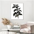 Picture of Black Leaves II _GroupedProduct_Rectangle_Portrait_Canvas_Framed_