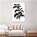 Picture of Black Leaves II _GroupedProduct_Rectangle_Portrait_Canvas_Framed_