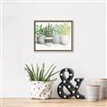 Picture of Pots With Flower _GroupedProduct_Rectangle_Landscape_Canvas_Framed_