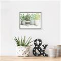 Picture of Pots With Flower _GroupedProduct_Rectangle_Landscape_Canvas_Framed_
