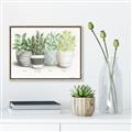 Picture of Pots With Flower _GroupedProduct_Rectangle_Landscape_Canvas_Framed_