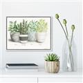Picture of Pots With Flower _GroupedProduct_Rectangle_Landscape_Canvas_Framed_